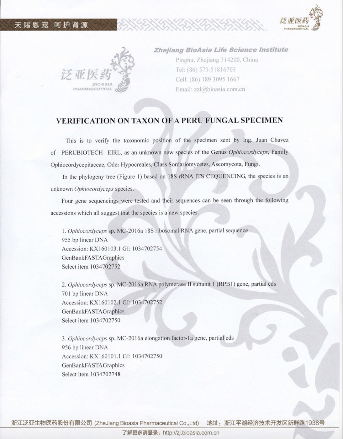 Verification on Taxon of a Perú Fungal Specimen (page 2)